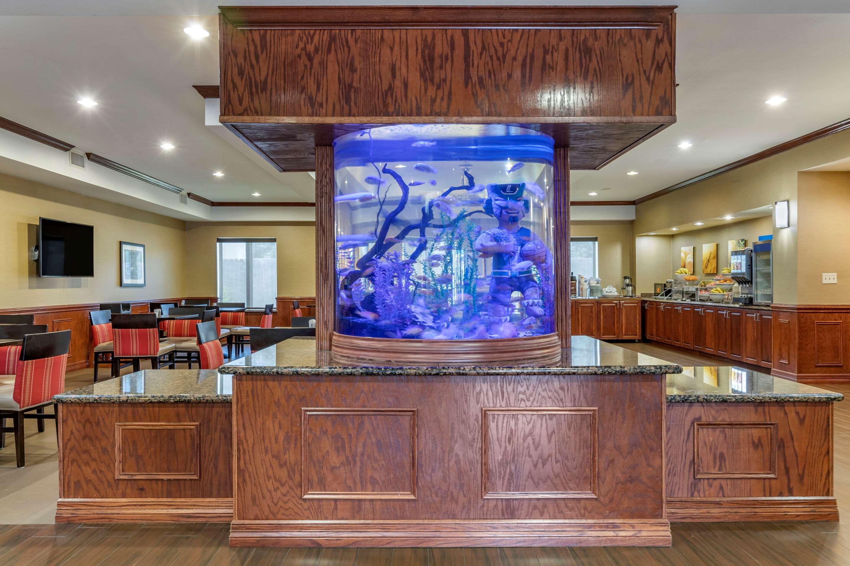 Comfort Suites Near Texas A&M - Corpus Christi Exterior photo